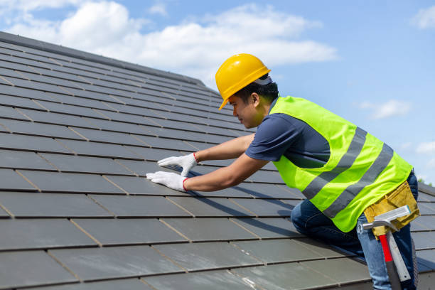 Quick and Trustworthy Emergency Roof Repair Services in Apple Valley, MN